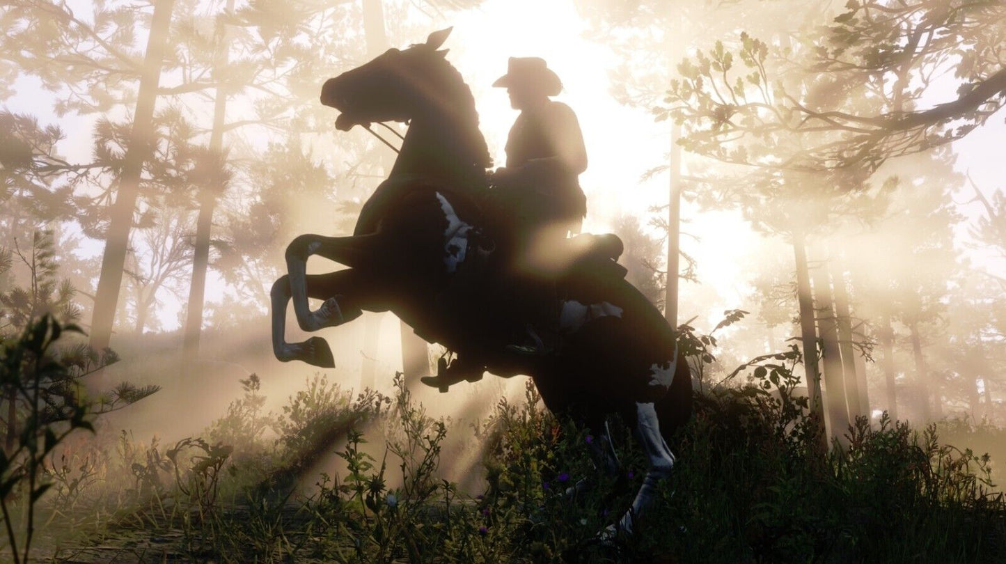 Red Dead Redemption 2 ULTIMATE EDITION